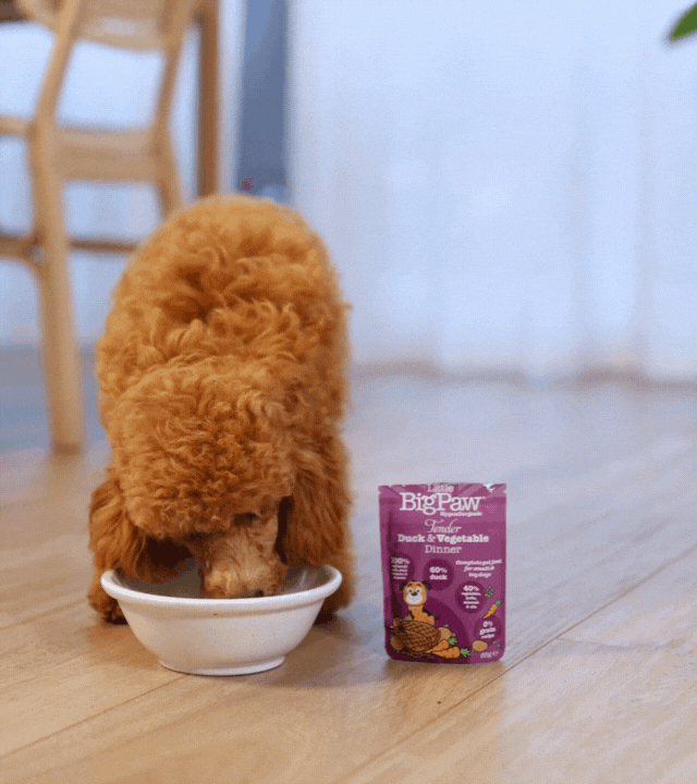 Little BigPaw Tender Duck & Vegetables Dinner 85g