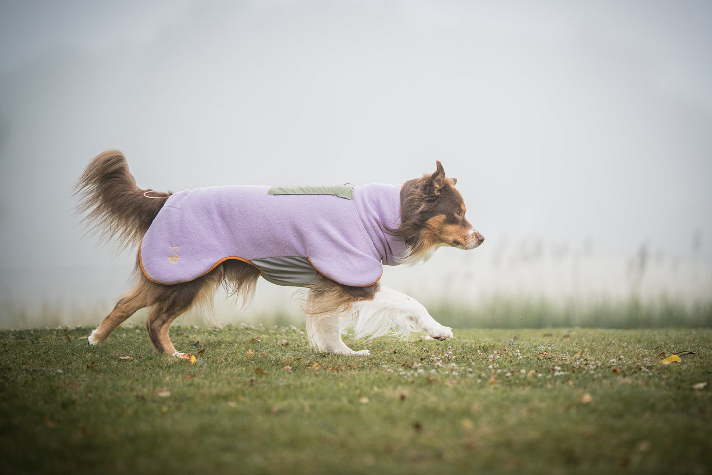 Woolly Wolf Fleece - Lavendel