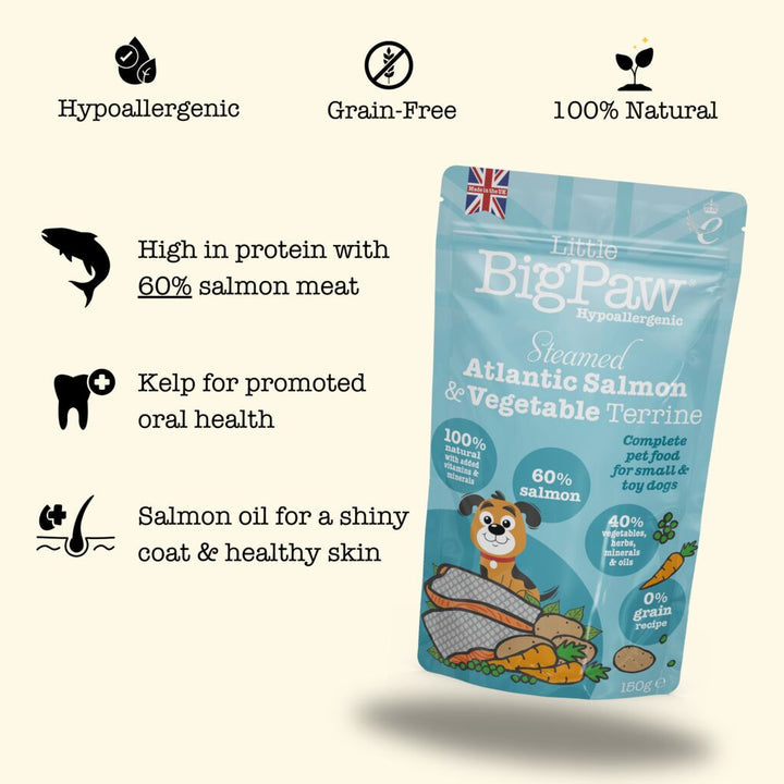 Little BigPaw Steamed Salmon & Vegetables 150g