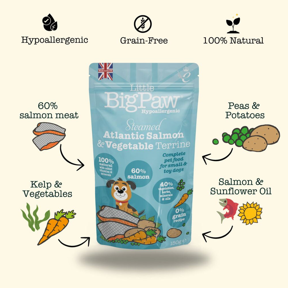 Little BigPaw Steamed Salmon & Vegetables 150g
