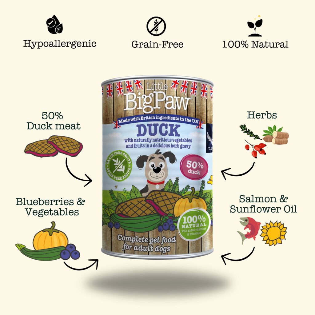 Little BigPaw Duck & Vegetable 390g
