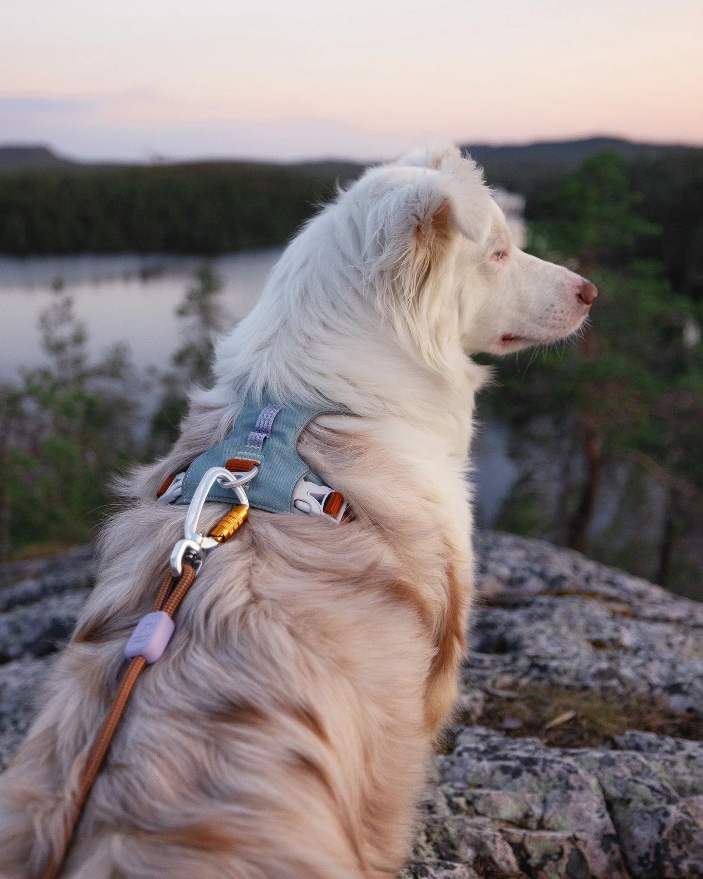 Alpha 360 Harness - Glazier Green