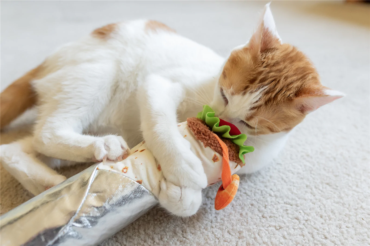 P.L.A.Y Burrito Kicker Cat