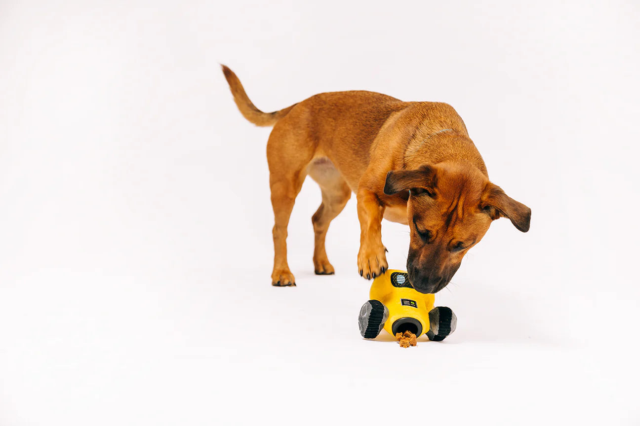 P.L.A.Y Alien Buddies Robo-Rover