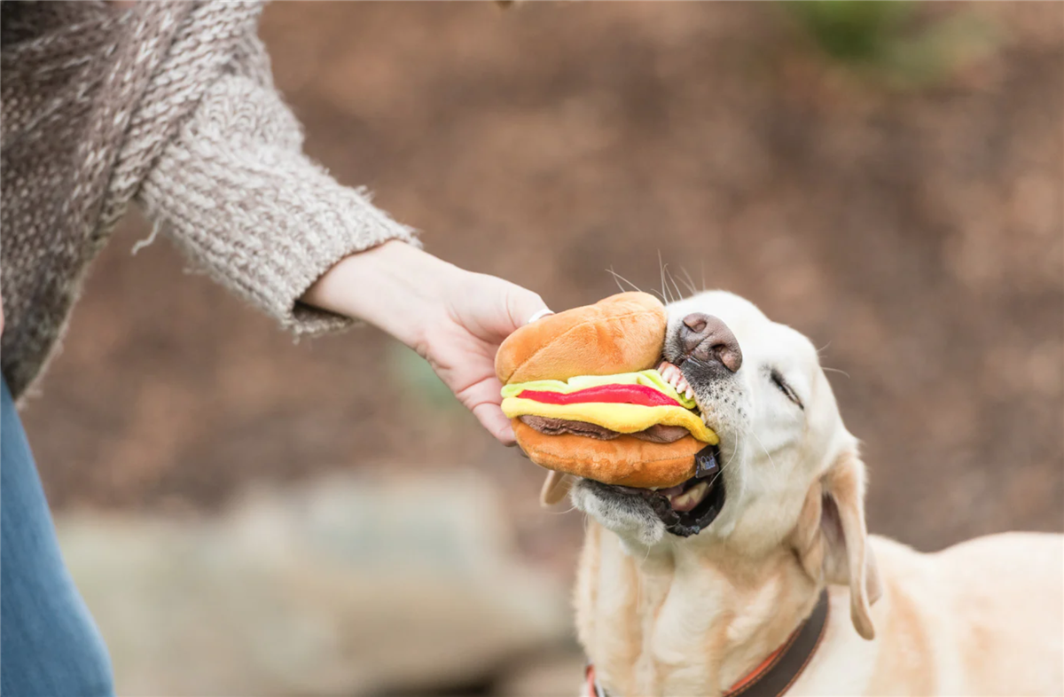 PLAY American Burger