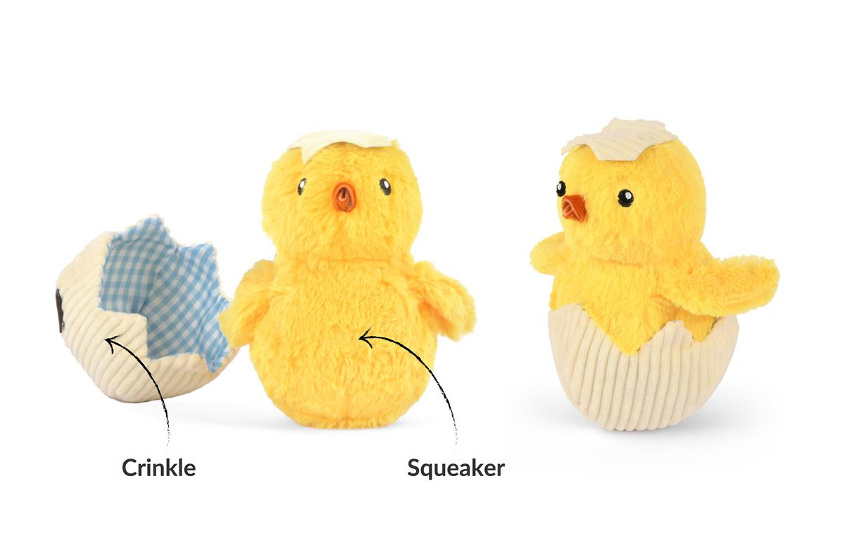 Hatching Chick