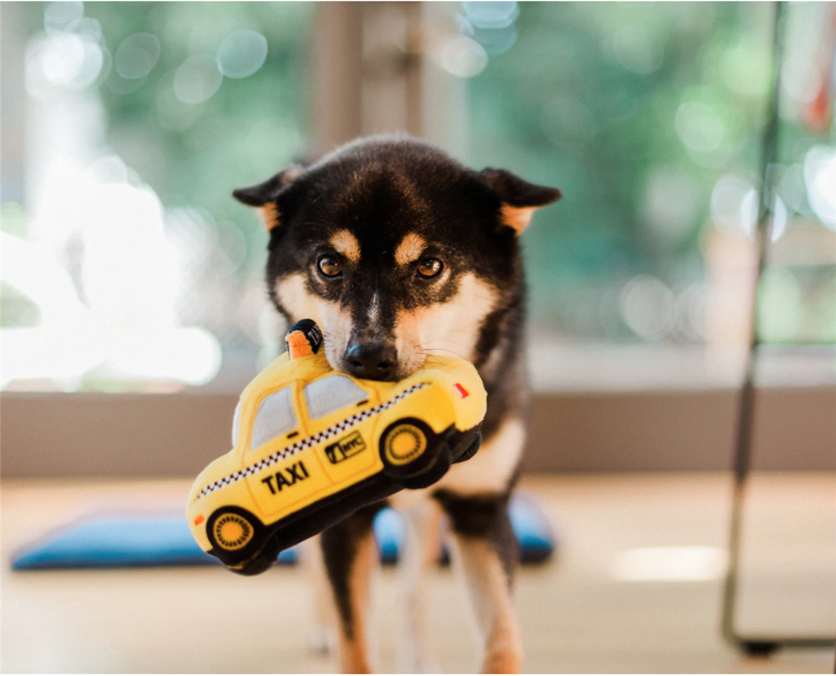 PLAY Taxi m/Chew Guard