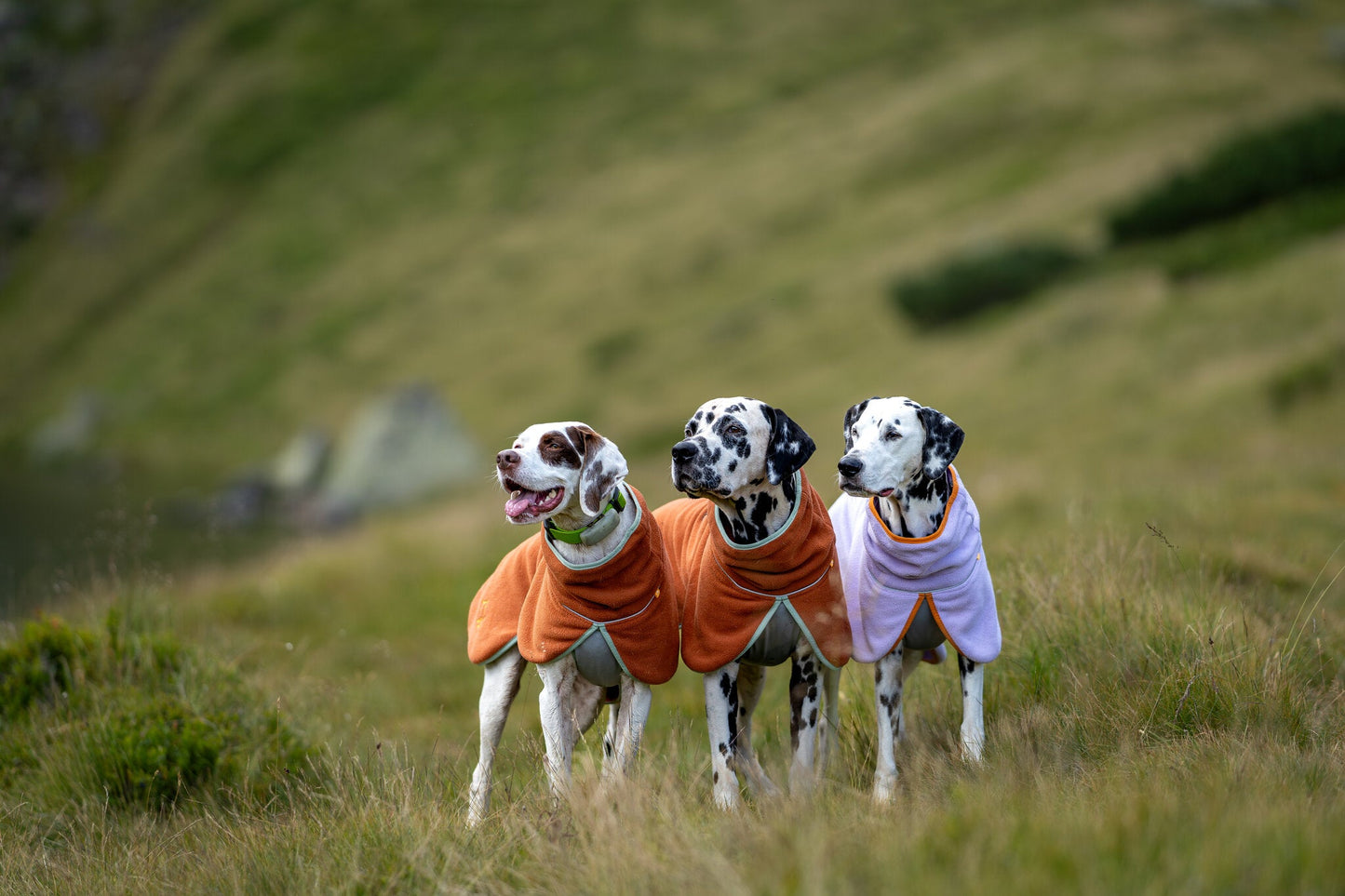 Woolly Wolf Fleece - Terracotta