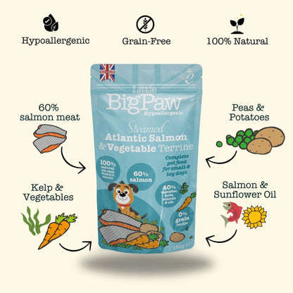 Little BigPaw Steamed Salmon & Vegetables 150g