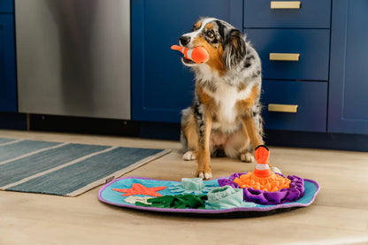 Coral Snuffle Mat