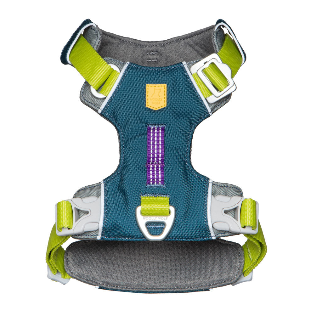 Alpha 360 Harness - Deap Teal