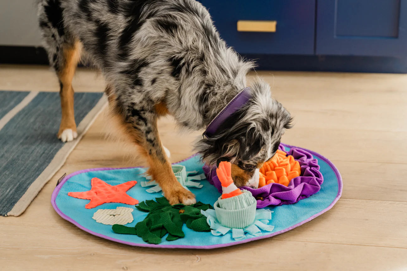 Coral Snuffle Mat