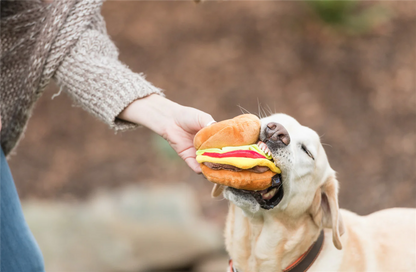 PLAY American Burger