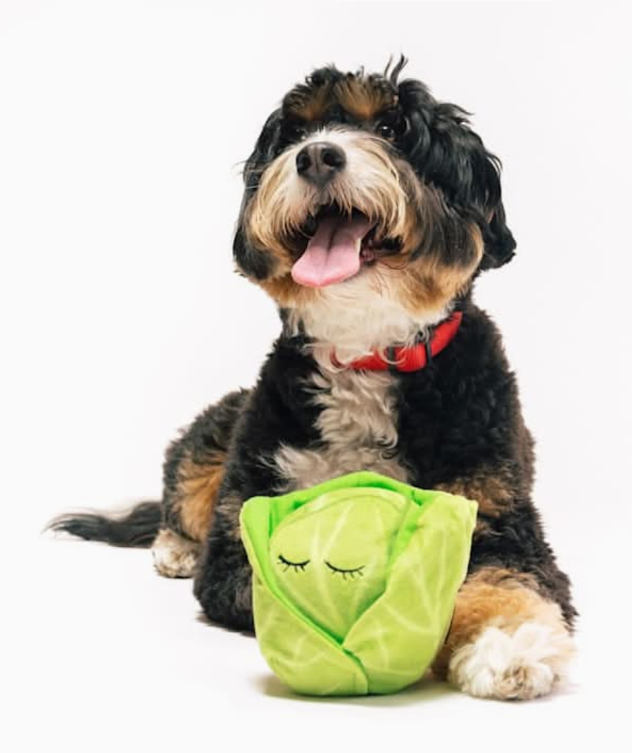 P.L.A.Y Cabbage m/ dispenser