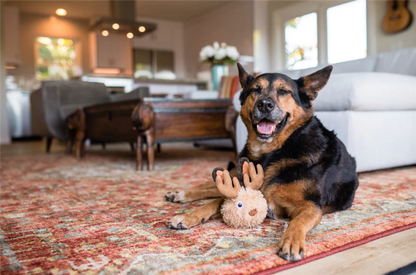 PLAY Mythical Jackalope