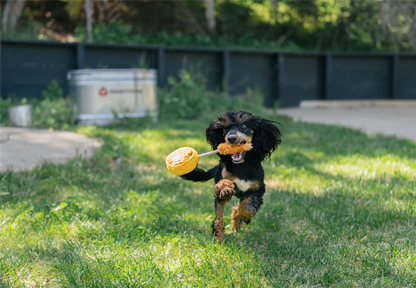 P.L.A.Y Waffle m/kylling