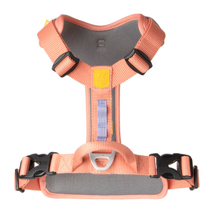 Roam Harness Pink