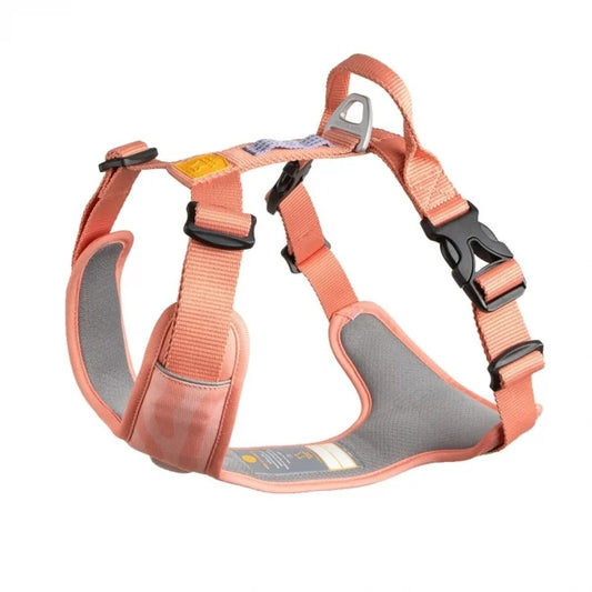 Roam Harness Pink