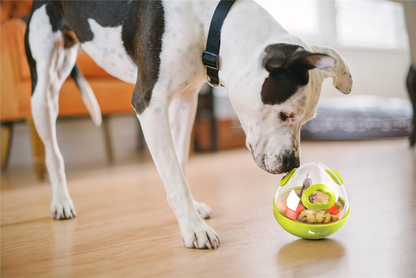 Wobble Ball - Enrichment Treat Toy