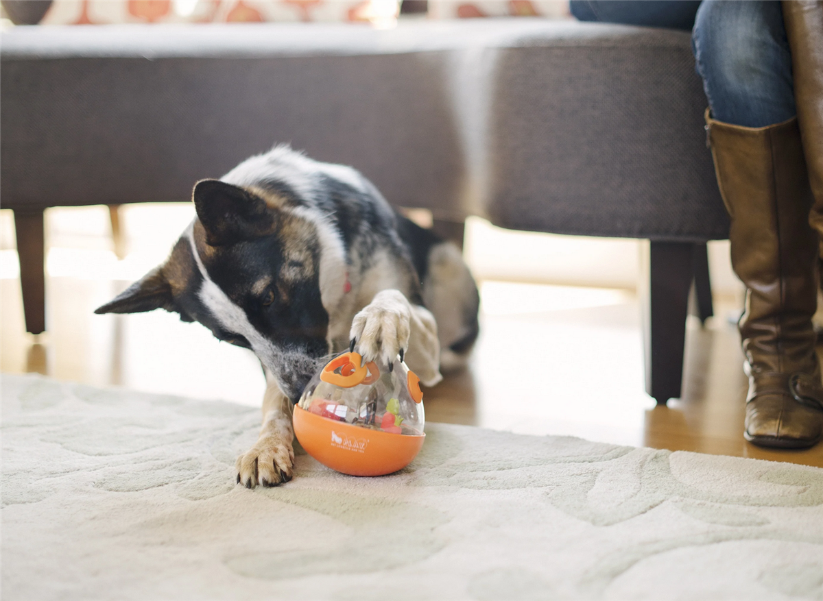 Wobble Ball - Enrichment Treat Toy