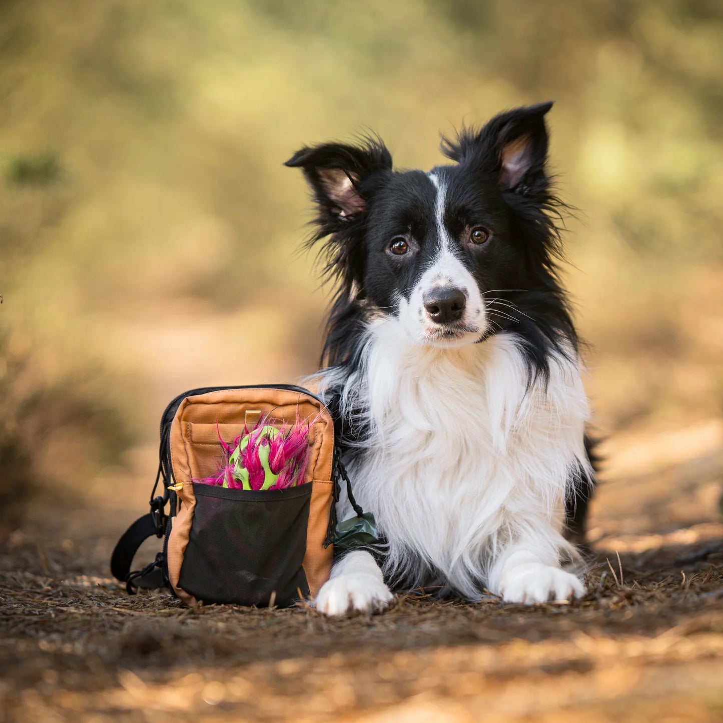 Woolly Wolf Hydration Shoulder Bag - Brun